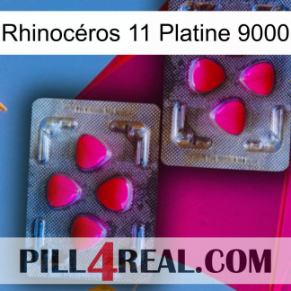 Rhinocéros 11 Platine 9000 15